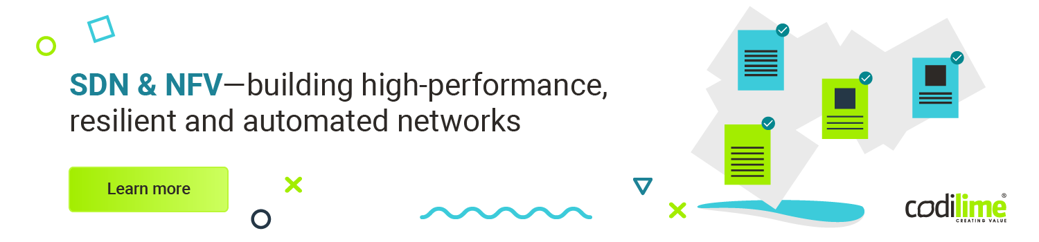 SDN and NFV CodiLime services